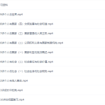 学而思中考政治2019年春季班课程(张俊康人教部编)