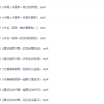 初三政治同步提高版课程(人教版上册)