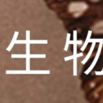 有道精品课高考生物必修一系统提分班(细胞光合作用专题)