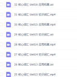 考研朱伟恋练有词词汇5500核心词汇2(全20-60集)